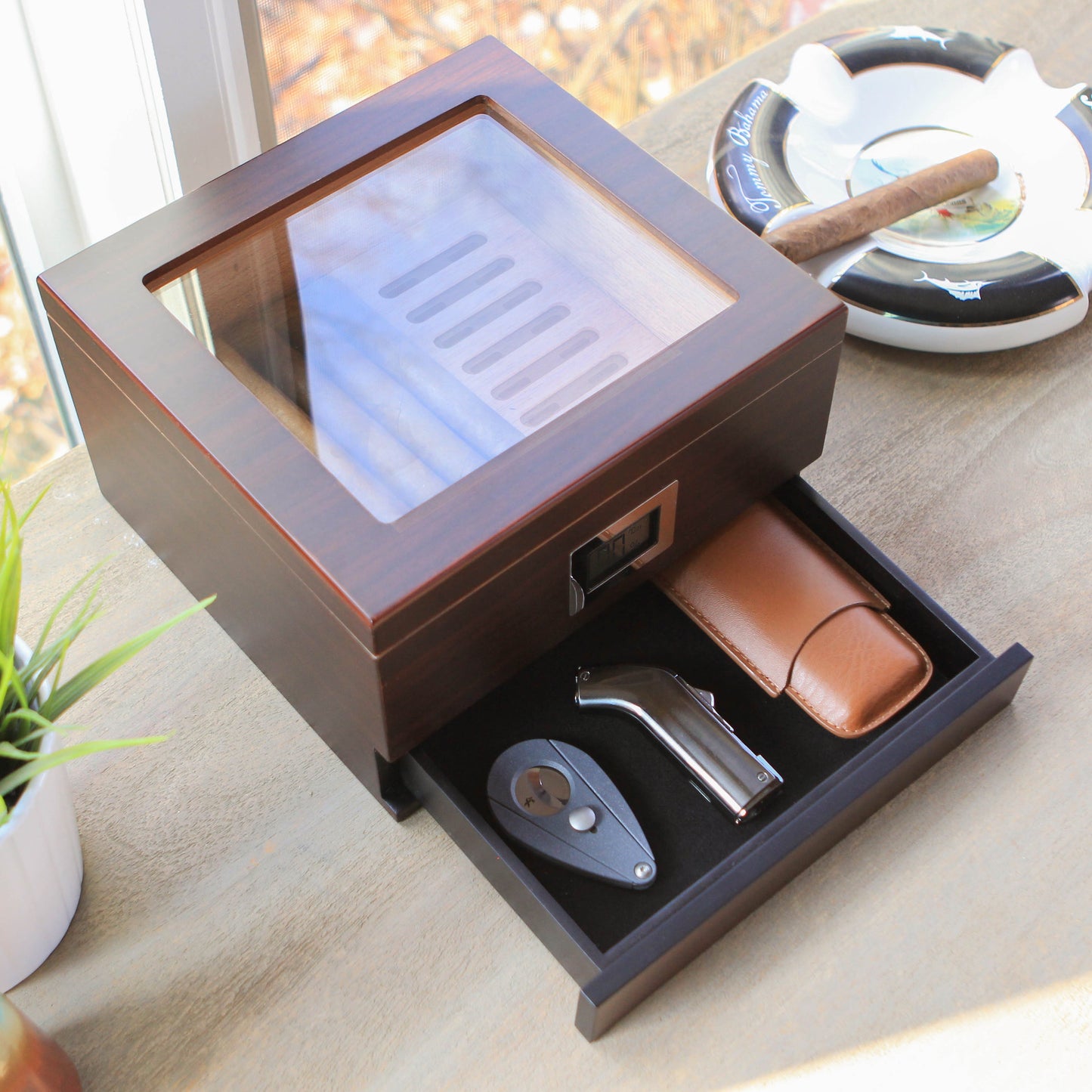 Renzo Glass Top Humidor by Case Elegance