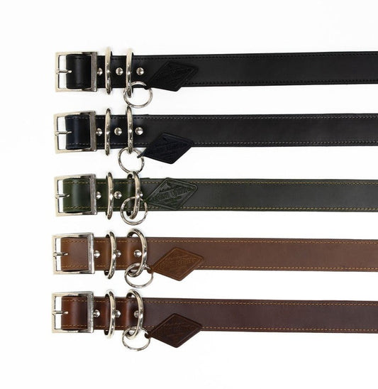 Leather Dog Collar - Designer by Lifetime Leather Co