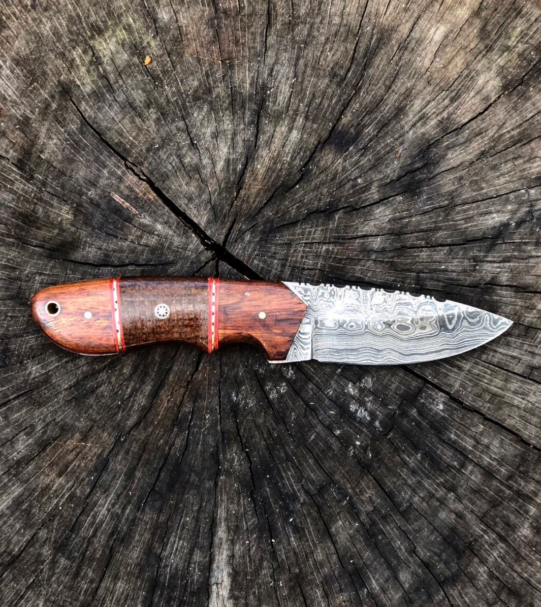 Rosewood Fixed Blade- VG26 by Vintage Gentlemen