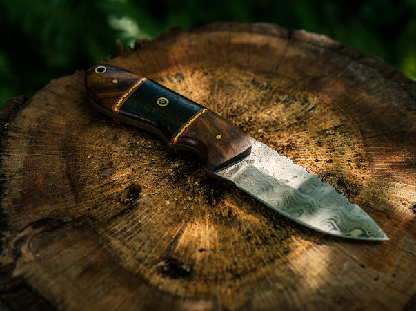 Rosewood Fixed Blade- VG26 by Vintage Gentlemen